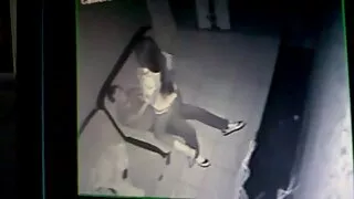 Điện thoại di động F. M. D. của Hoa kỳ, G., F. F. M. phik heo F. 3 MÁY 3