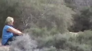 Kianna trận xexheo đấu ngựa súng lớn