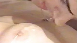 3 sec con heo Viên,