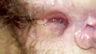 Hai con giống như hoang phim hwo dã