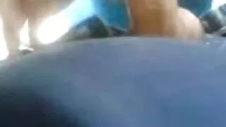 Leila thích khi một thành viên của hội rất lớn. phim heo vu to